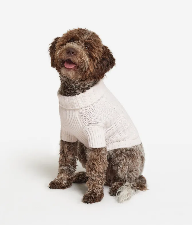 Maglioncino per cane in cashmere