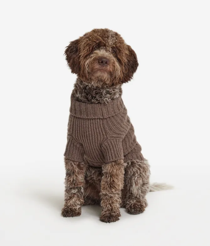 Maglioncino per cane in cashmere